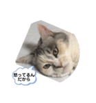 永遠のおんにゃのこ☆みゆう③（個別スタンプ：1）