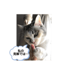 永遠のおんにゃのこ☆みゆう③（個別スタンプ：2）