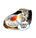 永遠のおんにゃのこ☆みゆう③（個別スタンプ：4）