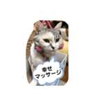 永遠のおんにゃのこ☆みゆう③（個別スタンプ：5）