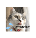 永遠のおんにゃのこ☆みゆう③（個別スタンプ：6）