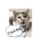 永遠のおんにゃのこ☆みゆう③（個別スタンプ：8）
