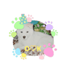 ホンワカまりんくん（個別スタンプ：2）