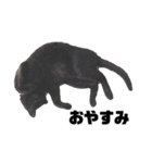 くろねこのうに 。（個別スタンプ：2）