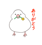 むちむち白文鳥（個別スタンプ：5）