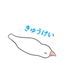 むちむち白文鳥（個別スタンプ：12）