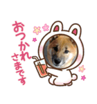 コムシトックロード（個別スタンプ：1）