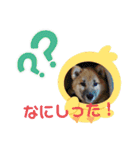 コムシトックロード（個別スタンプ：6）