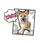 コムシトックロード（個別スタンプ：8）
