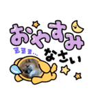コムシトックロード（個別スタンプ：10）