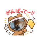 コムシトックロード（個別スタンプ：15）