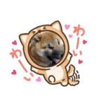 コムシトックロード（個別スタンプ：23）