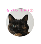 ちょっと連絡です（個別スタンプ：7）