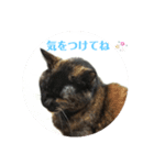 ちょっと連絡です（個別スタンプ：8）