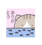 FCねこ 第2節（個別スタンプ：2）