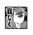 我が家のゴンスケ（個別スタンプ：9）