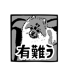 我が家のゴンスケ（個別スタンプ：10）