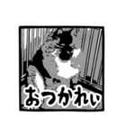 我が家のゴンスケ（個別スタンプ：11）