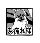 我が家のゴンスケ（個別スタンプ：12）