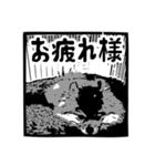我が家のゴンスケ（個別スタンプ：15）