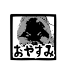 我が家のゴンスケ（個別スタンプ：18）