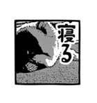 我が家のゴンスケ（個別スタンプ：19）