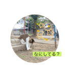 虹だんごのジジとキキ♡（個別スタンプ：4）