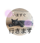 虹だんごのジジとキキ♡（個別スタンプ：5）