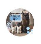 虹だんごのジジとキキ♡（個別スタンプ：7）