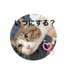 虹だんごのジジとキキ♡（個別スタンプ：8）