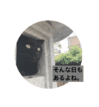 虹だんごのジジとキキ♡（個別スタンプ：9）