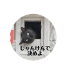 虹だんごのジジとキキ♡（個別スタンプ：14）