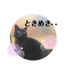 虹だんごのジジとキキ♡（個別スタンプ：16）