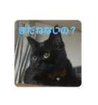 くまたんのまいにち♡（個別スタンプ：2）
