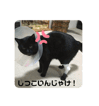 くまたんのまいにち♡（個別スタンプ：7）
