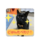 くまたんのまいにち♡（個別スタンプ：13）