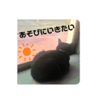 くまたんのまいにち♡（個別スタンプ：17）