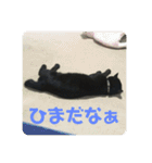 くまたんのまいにち♡（個別スタンプ：20）