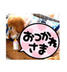 大文字返信スタンプ（個別スタンプ：1）