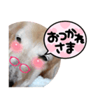 大文字返信スタンプ（個別スタンプ：2）