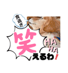 大文字返信スタンプ（個別スタンプ：14）