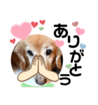 大文字返信スタンプ（個別スタンプ：20）