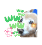 大文字返信スタンプ（個別スタンプ：23）
