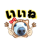 大文字返信スタンプ（個別スタンプ：24）