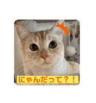 わたしのシュガちゃん（個別スタンプ：1）