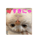 わたしのシュガちゃん（個別スタンプ：3）