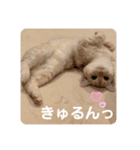 わたしのシュガちゃん（個別スタンプ：10）