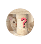 わたしのシュガちゃん（個別スタンプ：13）