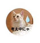 わたしのシュガちゃん（個別スタンプ：15）