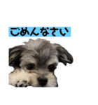 むーくん(実用)（個別スタンプ：2）